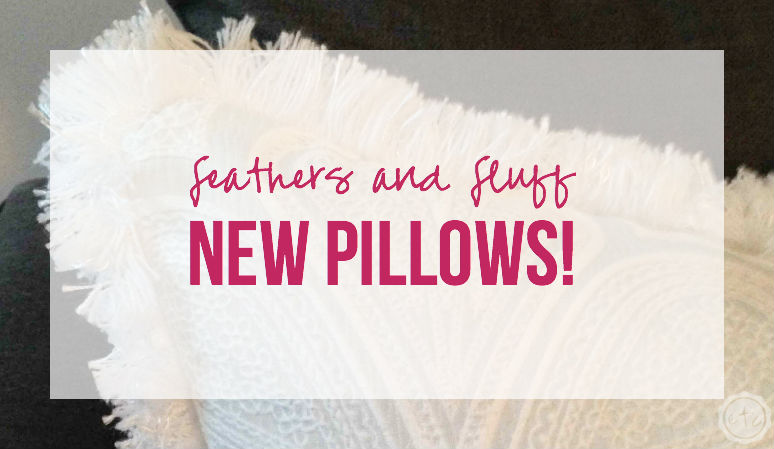 Feathers and Fluff – New Pillows!