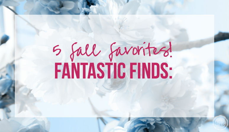 Fantastic Finds: 5 Fall Favorites!