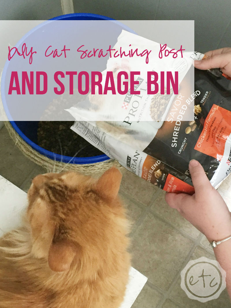 DIY Cat Scratching Post and Storage Bin with Happily Ever After, Etc.