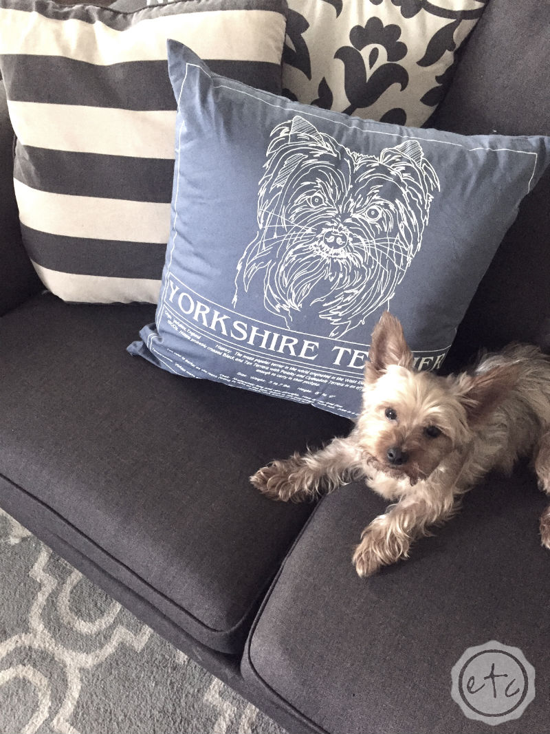 How cute is this little yorkie pillow? Find any blueprint puppy you like!