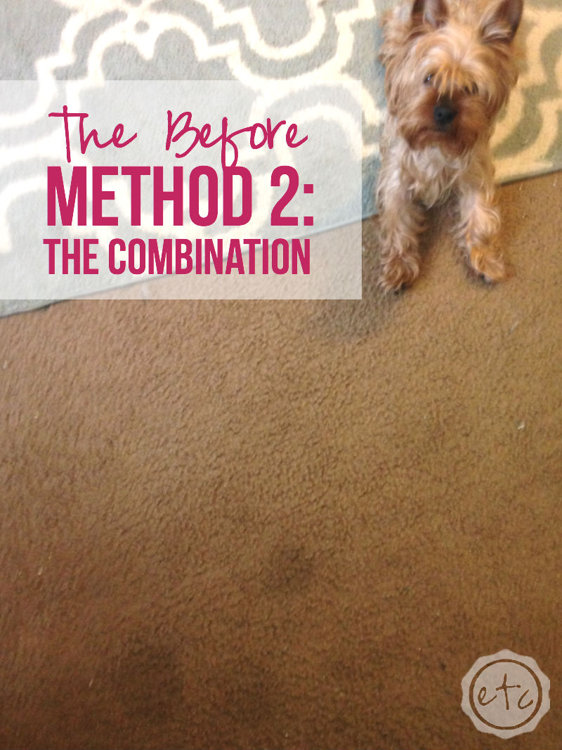 How to Clean Pet Stains out of Carpet with Bissell: Which method works best?!
