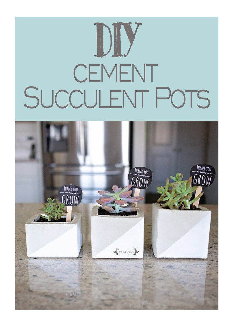 4 Cement-Succulent-Planter-Teacher-Gift-_-Five-Marigolds-1