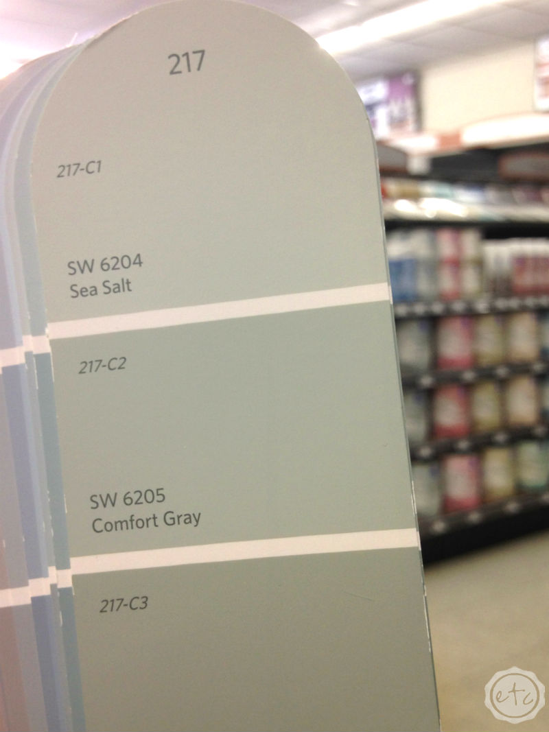 How to see Undertones in Paint Colors
