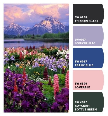 How to Pick a Color Palette for your Entire Home