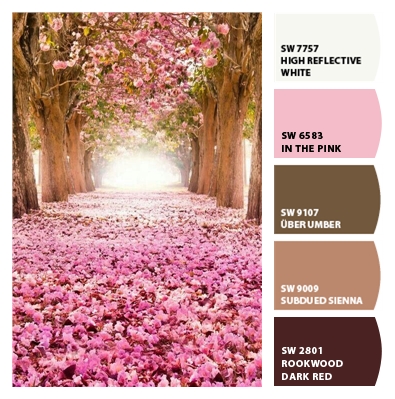 How to Pick a Color Palette for your Entire Home