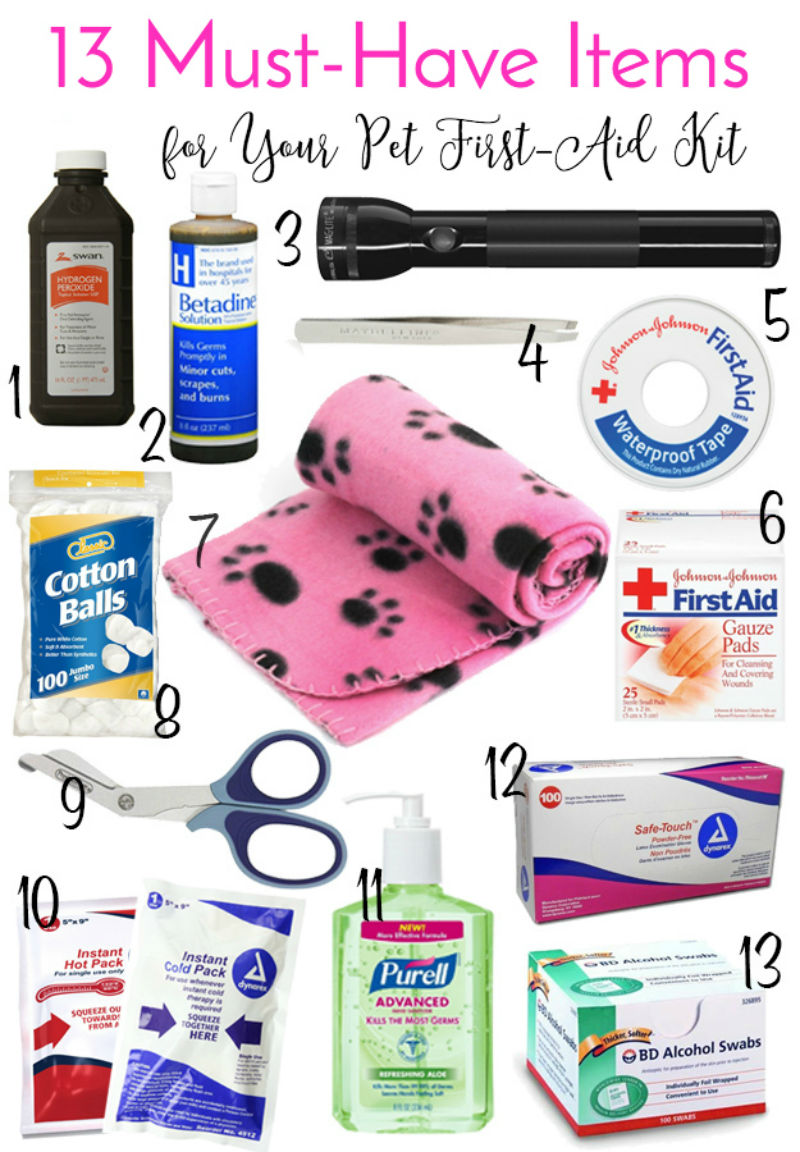 7 13-Must-Have-Items-For-Your-Pet-First-Aid-Kit