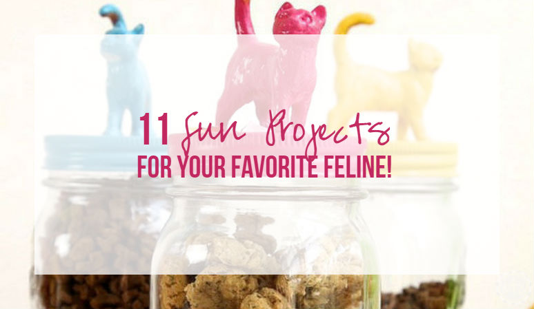 11 Fun Projects for Your Favorite Feline!