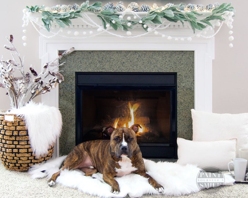 1 fireplace-winter-garland-and-family-pet