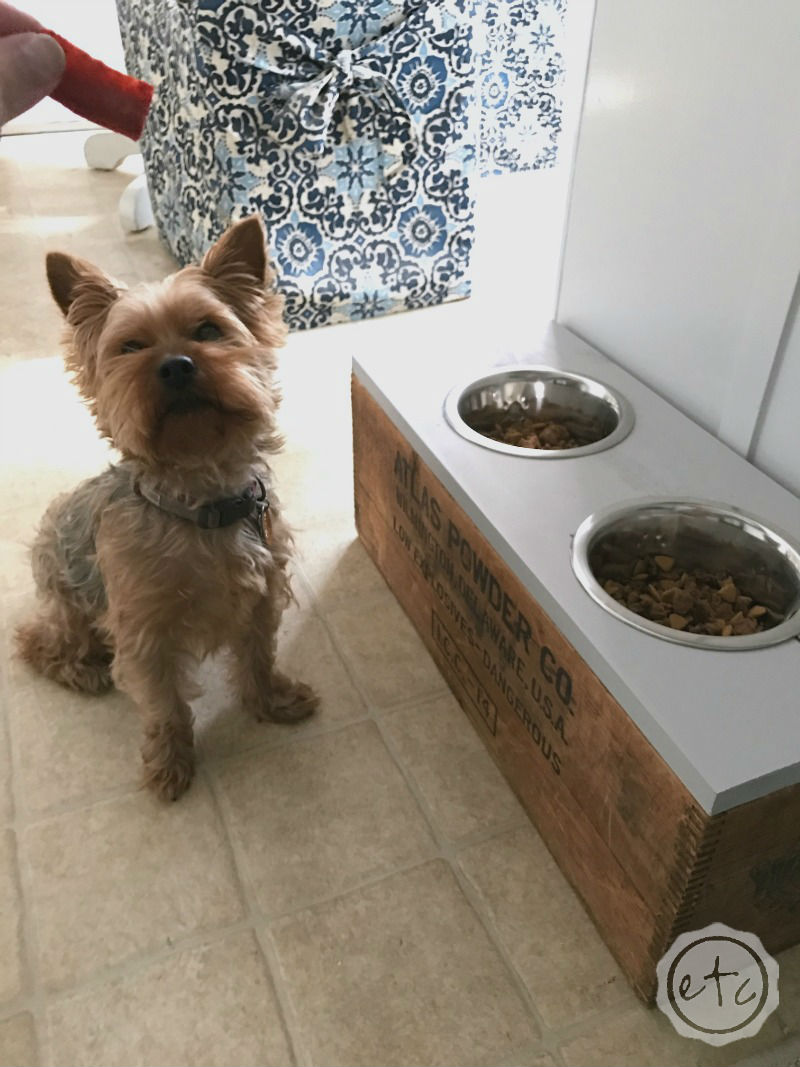 DIY Pet Bowl Stand (with Storage!) using an Antique Box