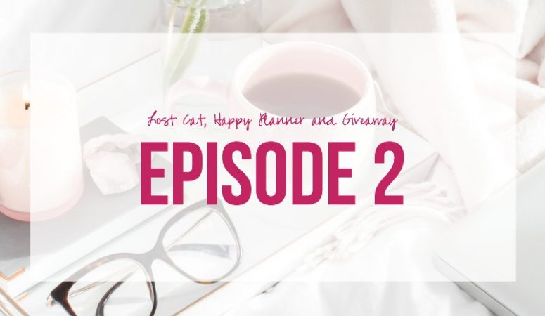 Episode 2: Lost Cat, Happy Planner and Giveaway??