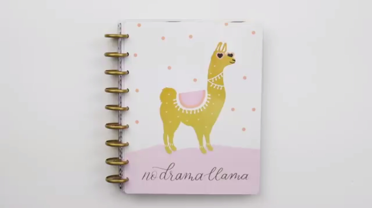 2019 Happy Planner: No Drama Llama cover