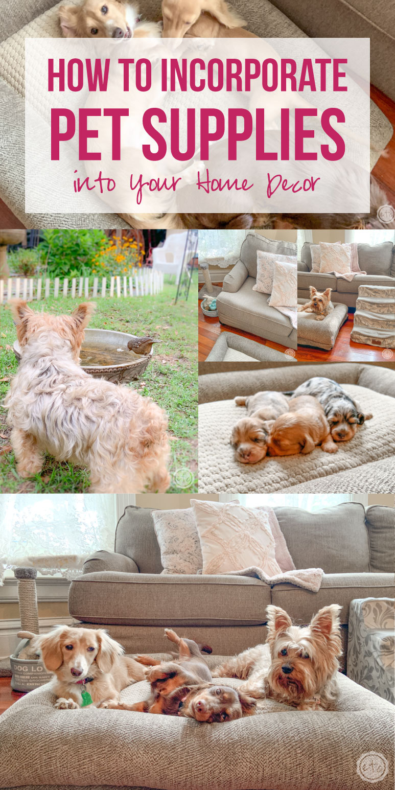 How to Incorporate Pet Supplies into Your Home Decor