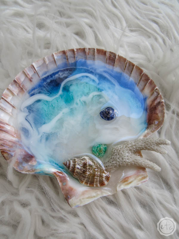 Resin Dome Beach Ocean Themed White Shell on Blue Base Paperweight
