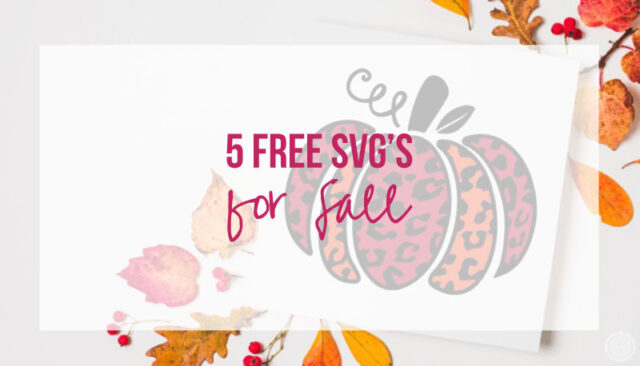 5 Free Fall SVG’s