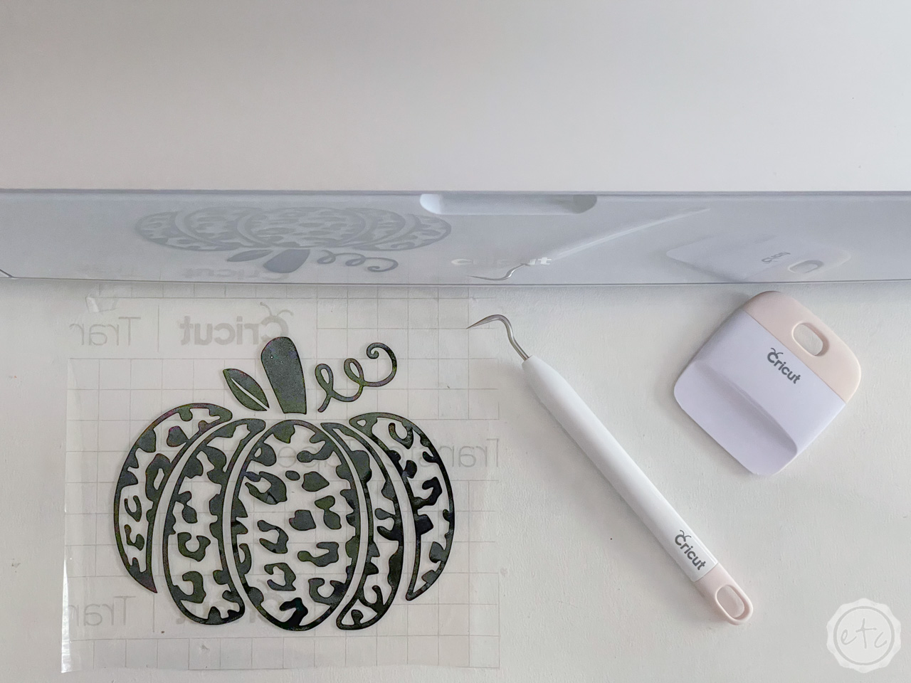 How to Use Vinyl to Make Plates for any Holiday (Halloween Themed ...