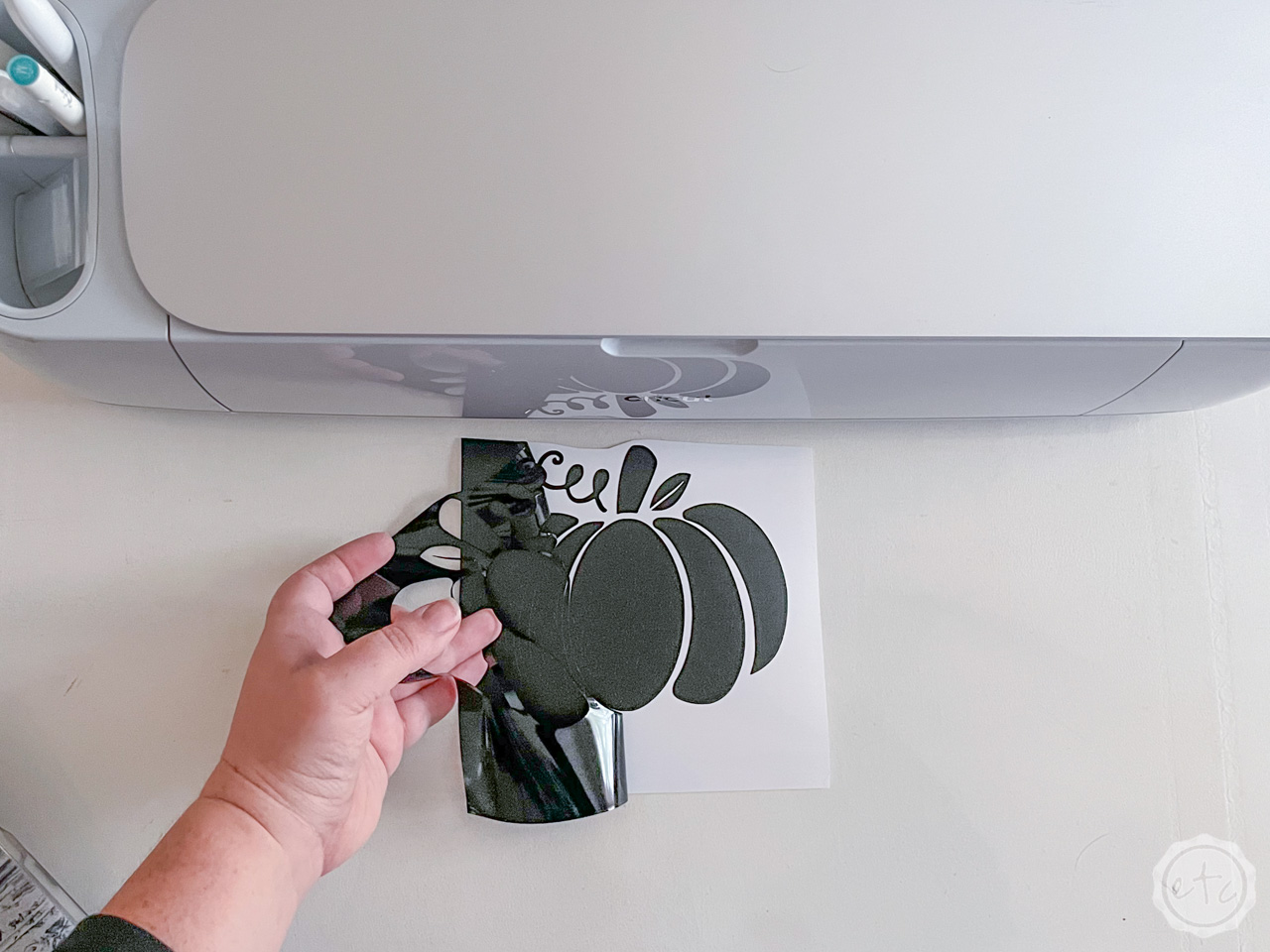 How to Use Vinyl to Make Plates for any Holiday (Halloween Themed ...