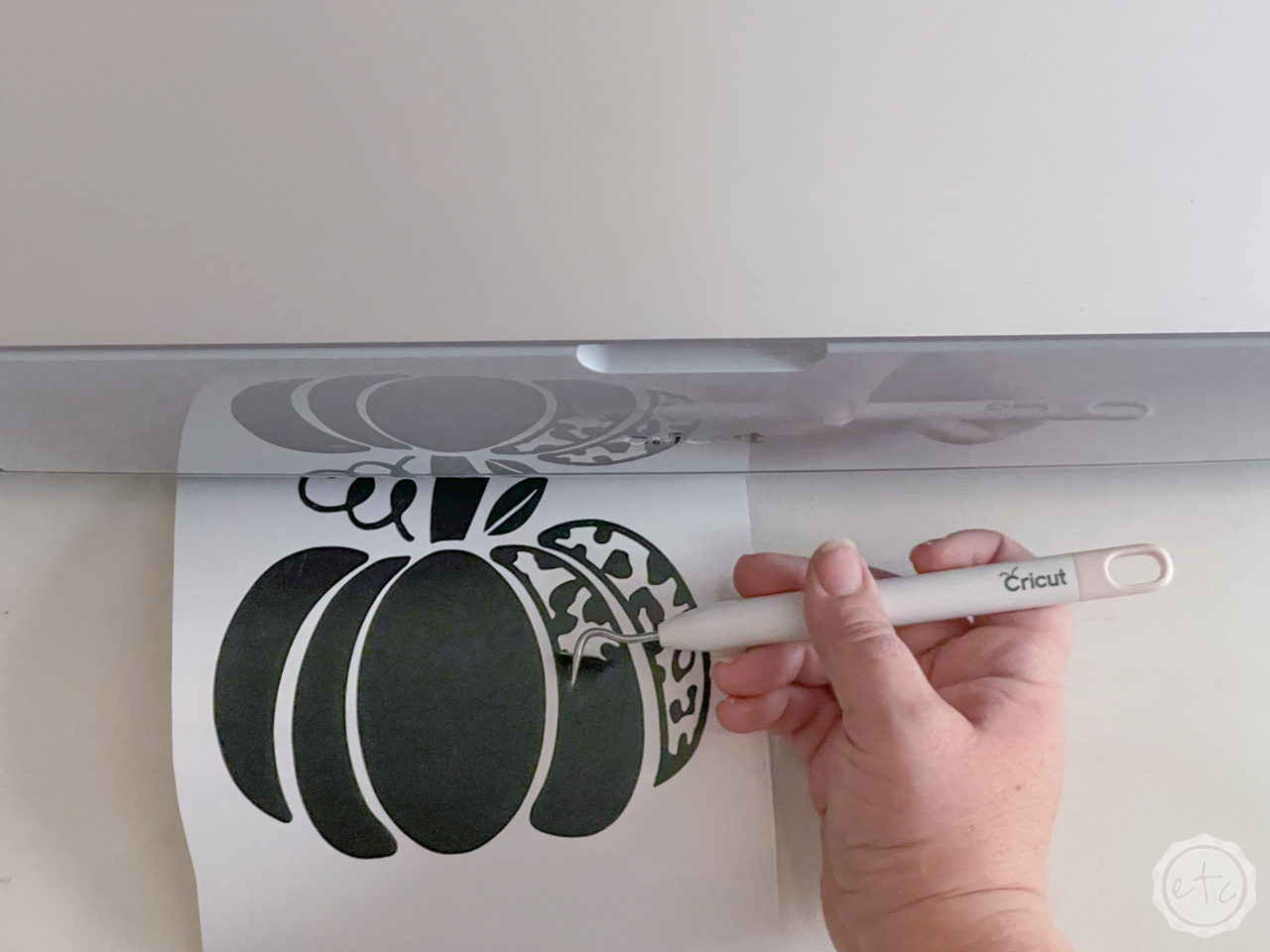 How to Use Vinyl to Make Plates for any Holiday (Halloween Themed ...