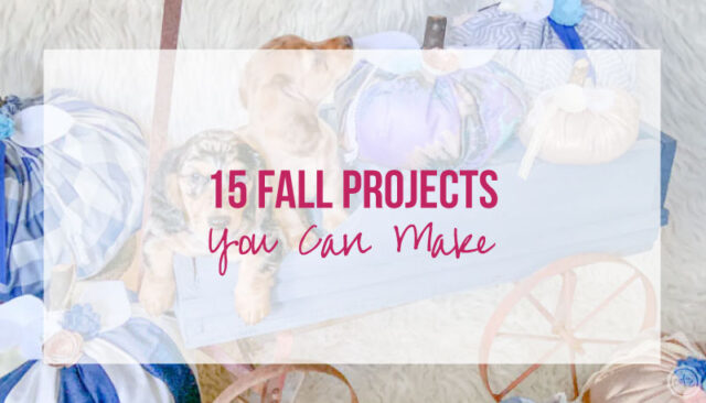 15 Fall Projects YOU Can Make