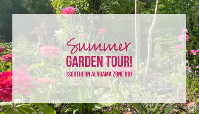 Summer Garden Tour Southern Alabama (Zone 8b)